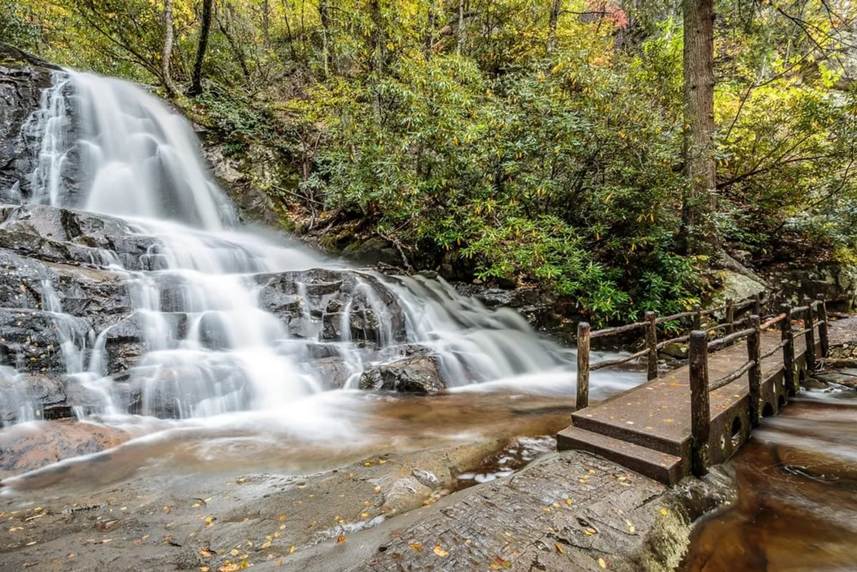 A picturesque waterfall cascades over rocks, framed by lush green foliage and a rustic footbridge spanning the gently flowing stream. The surrounding forest hints at hiking trails and quiet spots for picnicking or taking in the scenery.