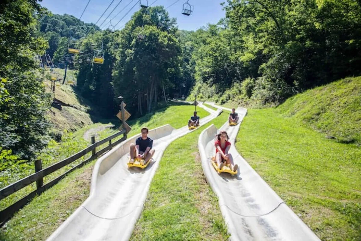 A lively outdoor scene featuring luge tracks with participants sledding, surrounded by trees and a ski lift in the background. The image conveys action, excitement, and the natural setting of alpine activities.